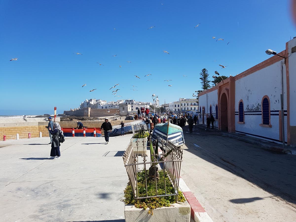 Riad Sidi Magdoul Essaouira Exterior photo